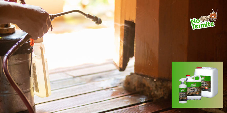Μπορούν οι τερμίτες να προκαλέσουν σοβαρή δομική βλάβη σε ένα σπίτι;
